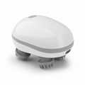 Smart Scalp Massager
